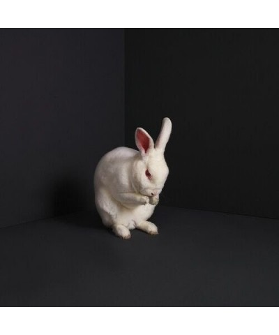 Brume RABBITS (SOLID WHITE VINYL) Vinyl Record $14.16 Vinyl