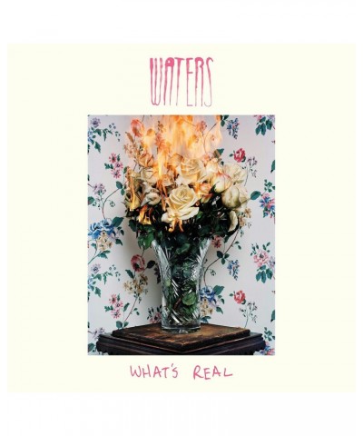 WATERS What's Real Vinyl Record $9.80 Vinyl