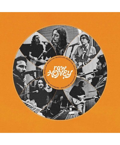 Drugdealer RAW HONEY CD $5.61 CD